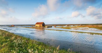 Straty wody w systemach przeciwpożarowych – rzadko poruszany, a kosztowny problem